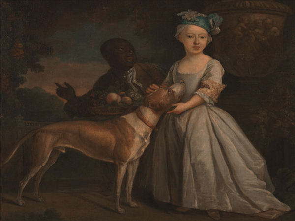 فوق الجميزة