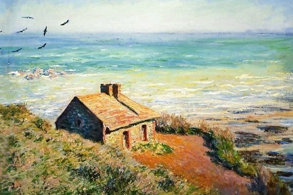 طيور.. ونافذة