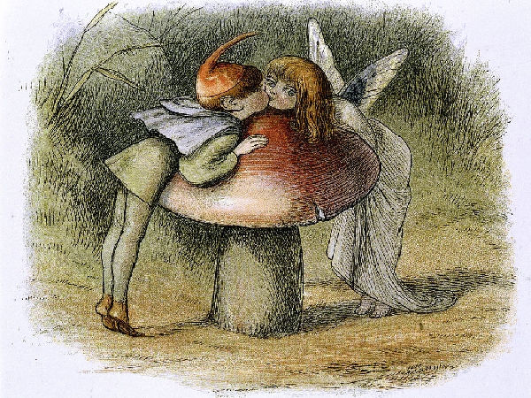 امرَأةٌ مُتَوحّـشَةٌ