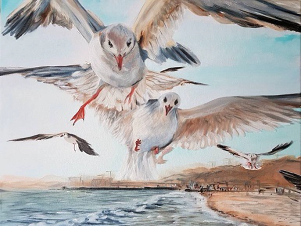 النوارس.. قصائد هايكو