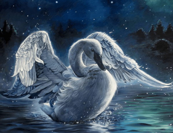 البجعة – قصائد&nbsp;هايكو