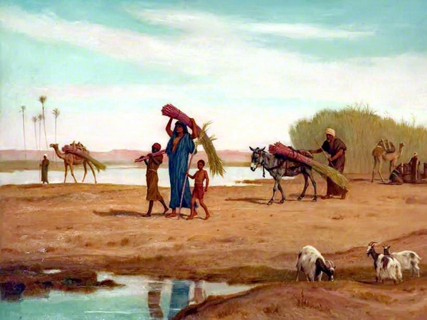 وغَنَّت قِدرُنا طَرَبا