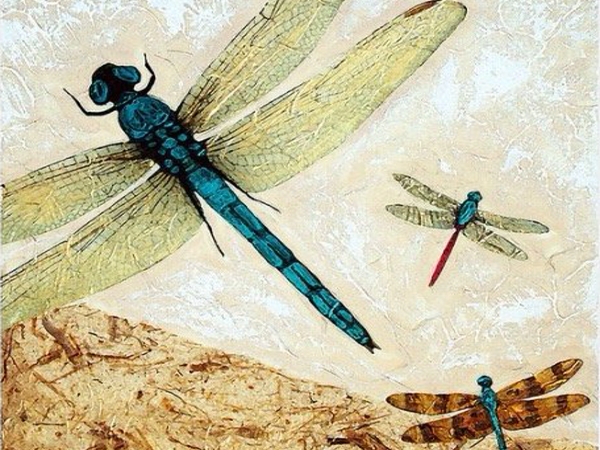 اليعسوب – قصائد هايكو 