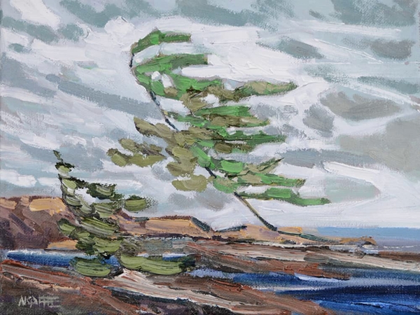 أكفان لجثث مجهولة&nbsp;الهوية