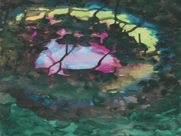 يداكِ – للشاعر الإيراني أحمد رضا أحمدي 