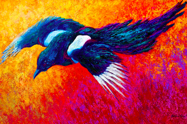 قصائد هايكو للأسترالية جانيس إم&nbsp;بوستوك