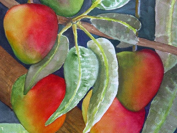 المانجو.. قصائد هايكو 