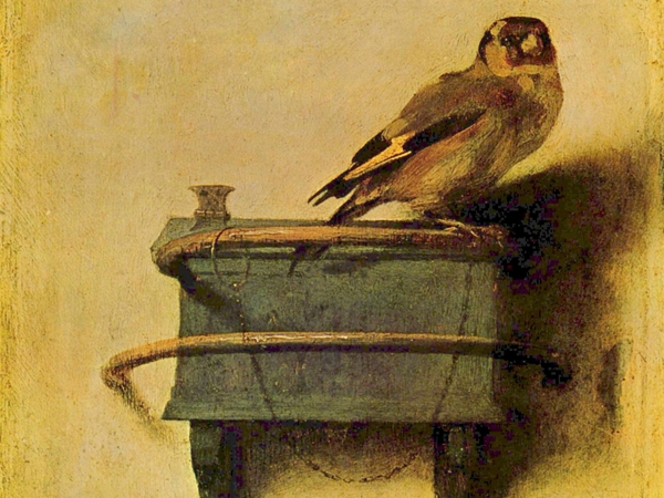 الحسون.. قصائد هايكو