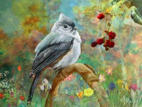 القرقف .. قصائد هايكو 