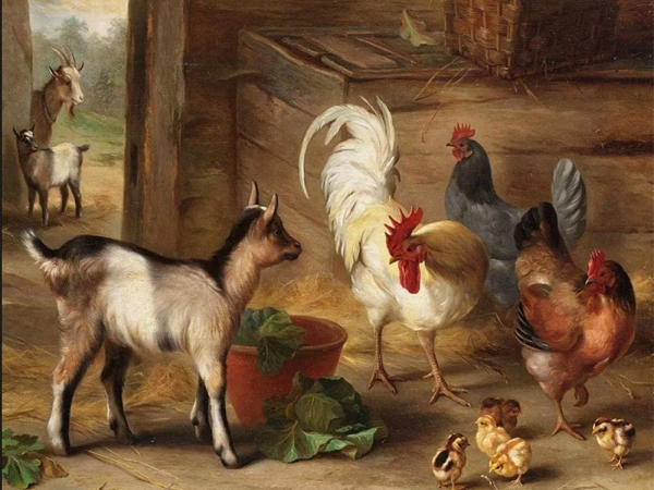 لا تقلْ كش اكسر&nbsp;رجلها