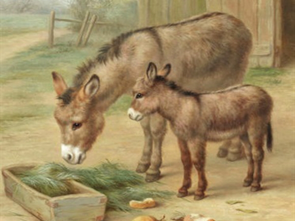 الحمير لا تسقط بالحفرة&nbsp;مرتين