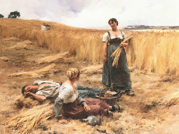 قصائد هايكو