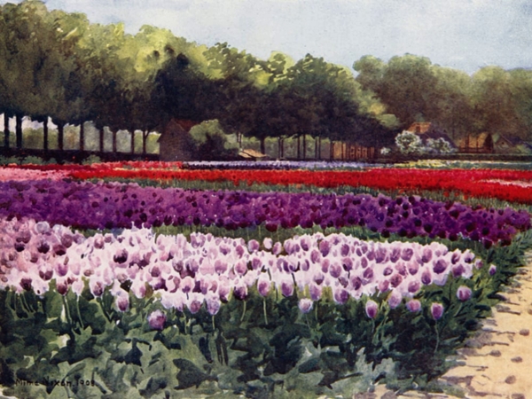 قصائد هايكو للشاعرة الإيرانية فيدا&nbsp;جليلي