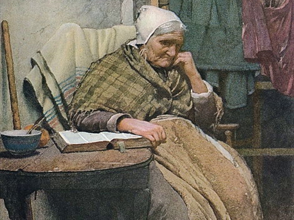 عُواءُ ابنِ آوَى