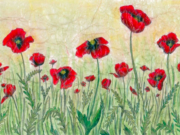 الخشخاش.. قصائد هايكو