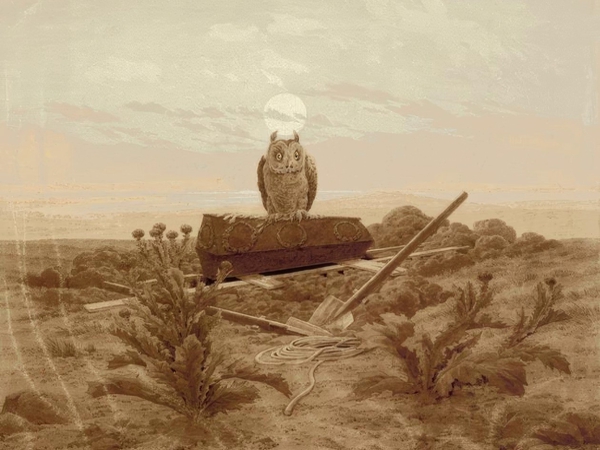 عاد في تابوت مكسور