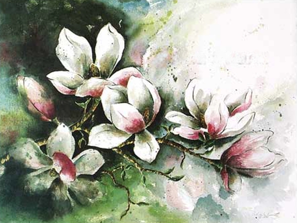 الماغنوليا.. قصائد هايكو