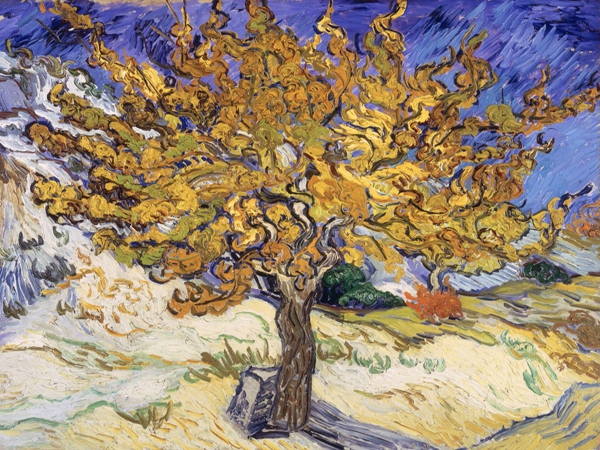 حبةُ توتٍ محشوة&nbsp;بالجنون