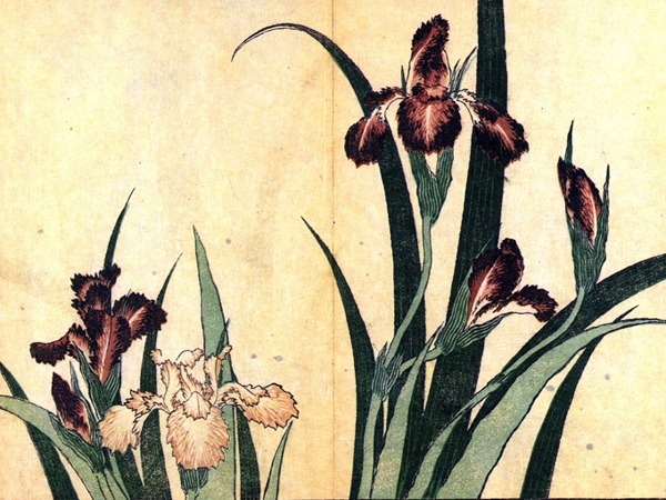 هكذا.. من الهايكو وامبراطورية العلامات&nbsp;(4)