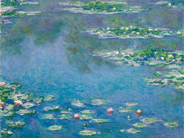 الماء الراكد