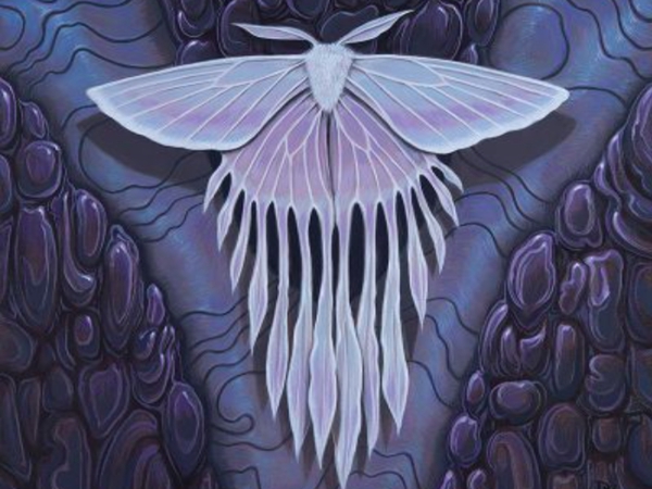 العثة.. قصائد هايكو