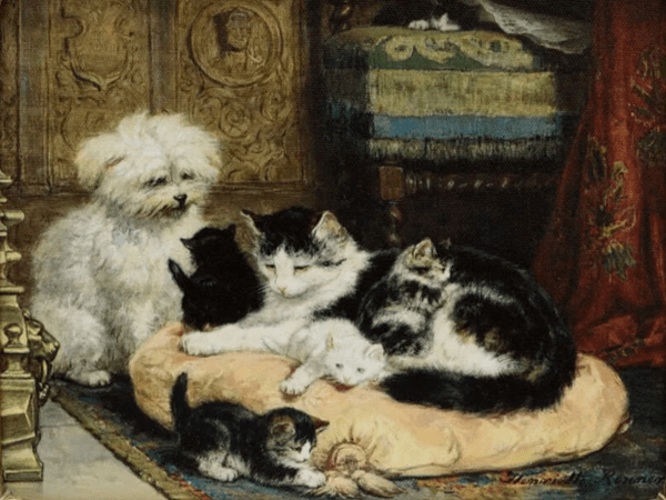 القطط.. قصائد هايكو