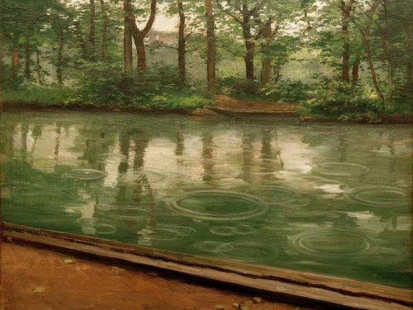 شمس الشتاء.. هايكو