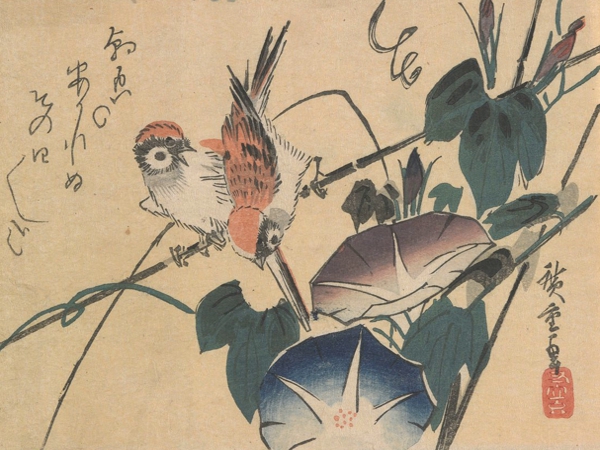 المساحات البيضاء في مجموعة البابا الطائر لبانيا&nbsp;ناتسواشي