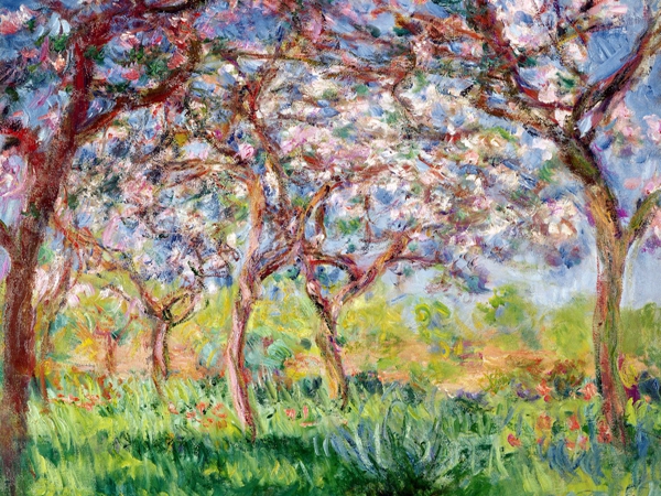 يوميات هناء في نيويورك – الربيع في&nbsp;دوغلستون