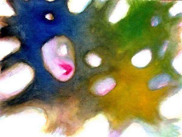 الدرهم السحت