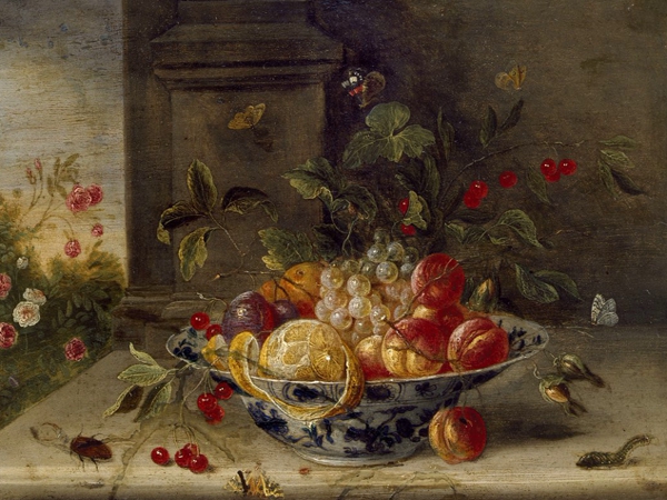 الذبابة العنيدة