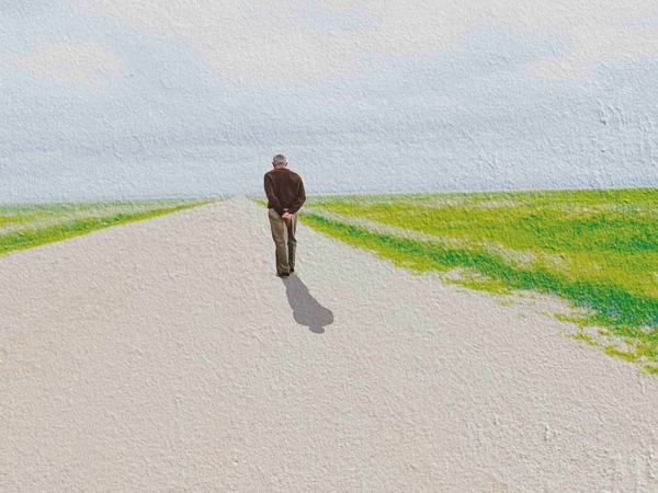 طيور الشاعر