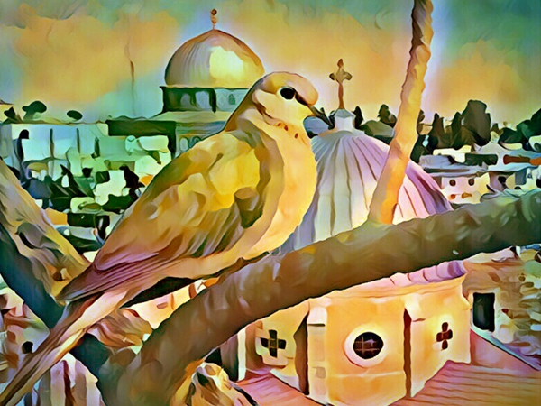 رسالة أبراهام السرفاتي إلى إيمانويل ليفين: مناهضة&nbsp;الصهيونية