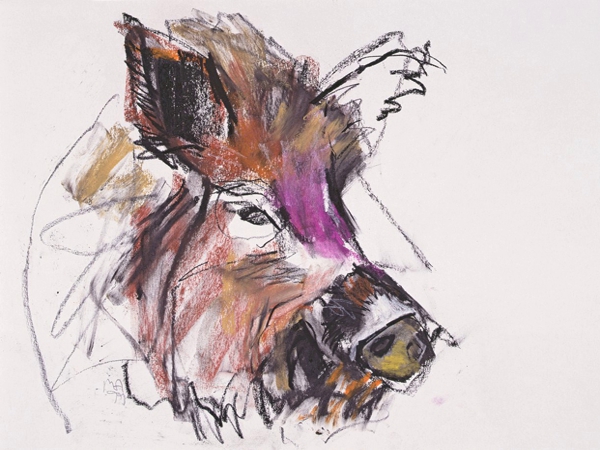 ذِئْبُ السَّلَامِ الزَّاهِدُ فِي&nbsp;الْحَرَامِ