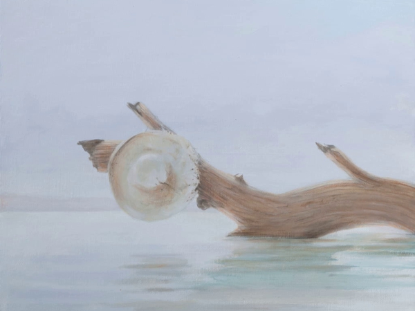 شفرة الحياة